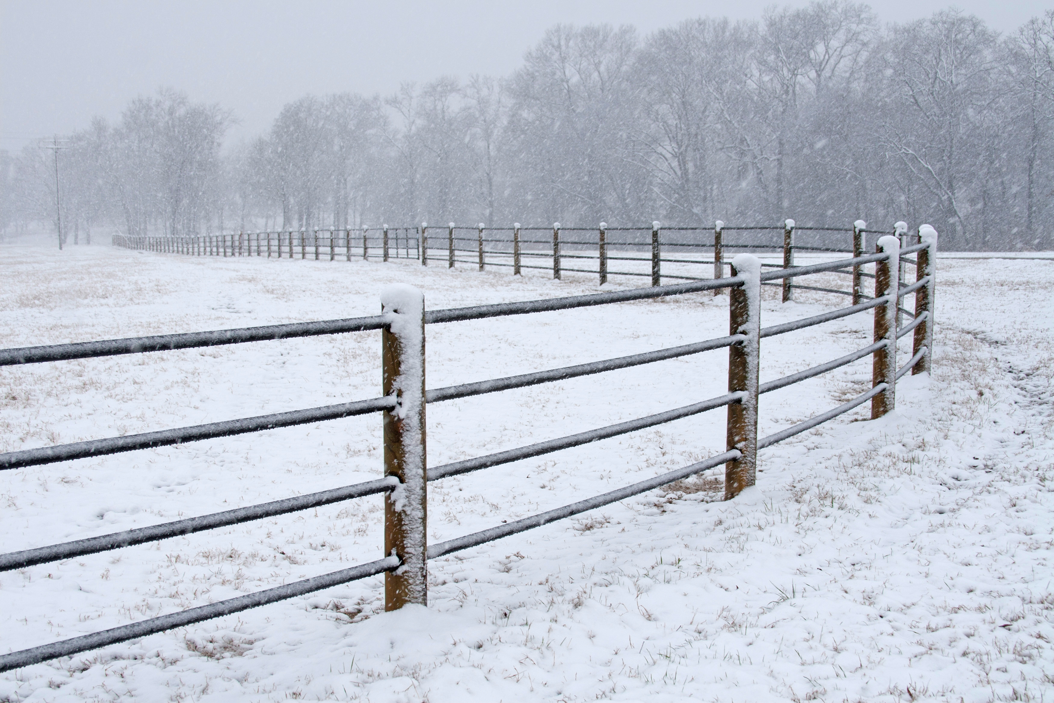 Ponderosa 4 Rail 122.jpg